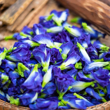 Vetiver & Blue pea Hydrosol