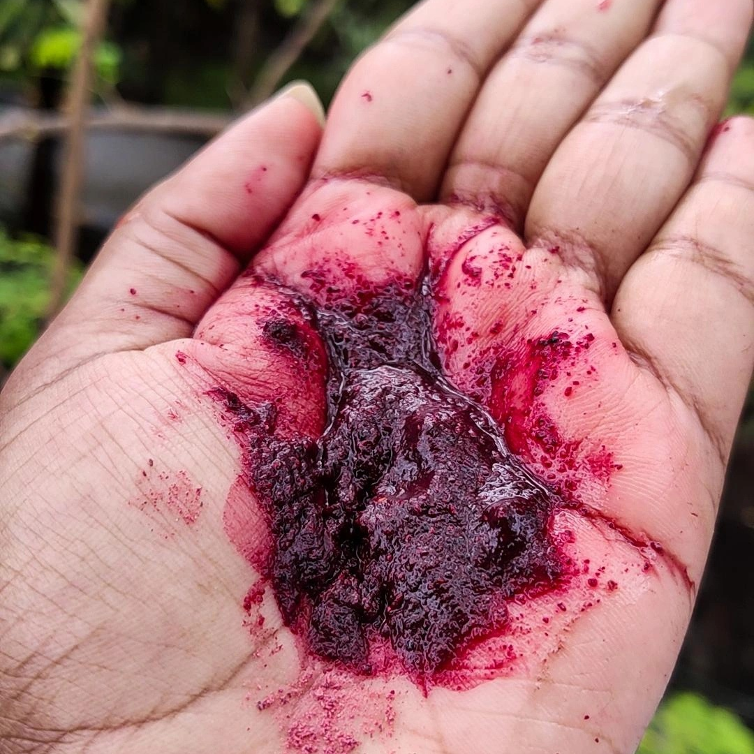 Hibiscus Petal Powder